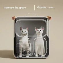 Load image into Gallery viewer, Cat Trolley