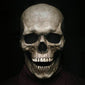 Realistic Full Skull Mask Movable - Halloween 2022